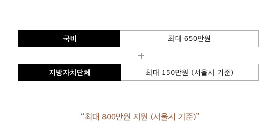 국비 최대 650만원 + 지방자치단체 최대 150만원 (서울시 기준) = "최대 800만원 지원 (서울시 기준)"